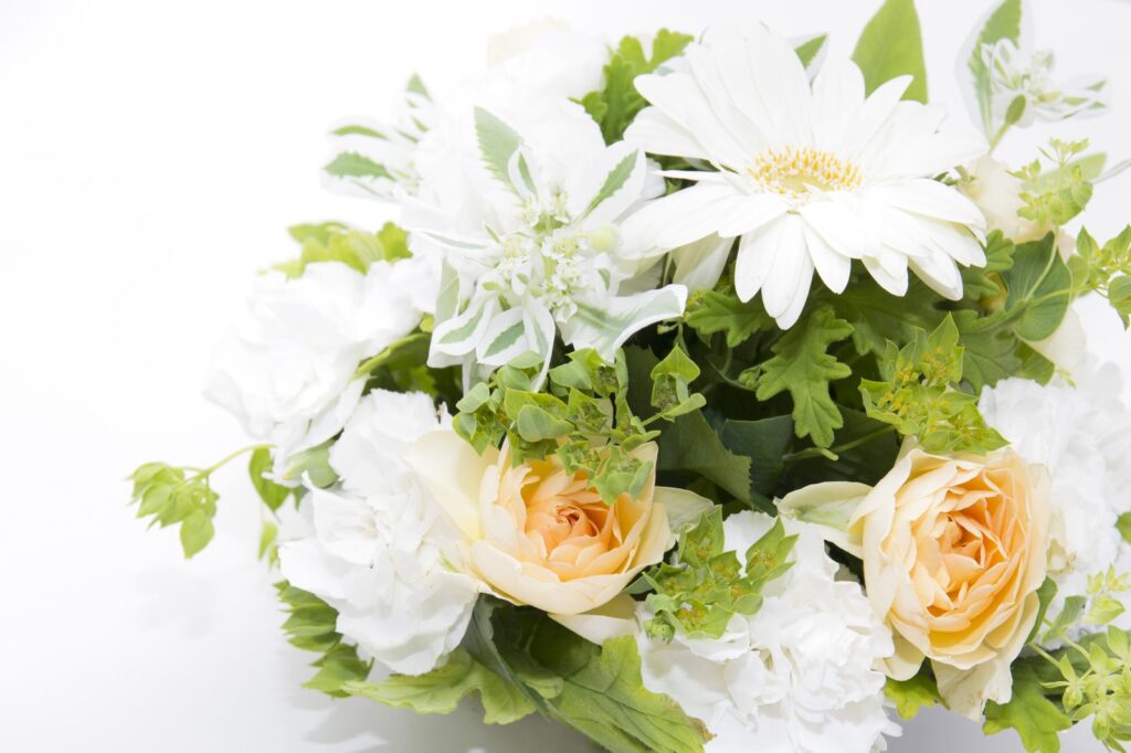 白い花 贈り物